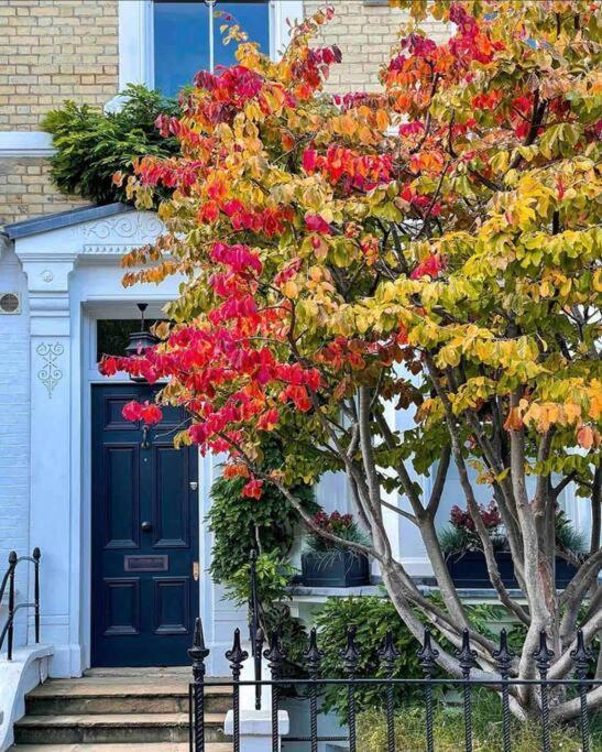 Chelsea Posh Apartment 伦敦 外观 照片